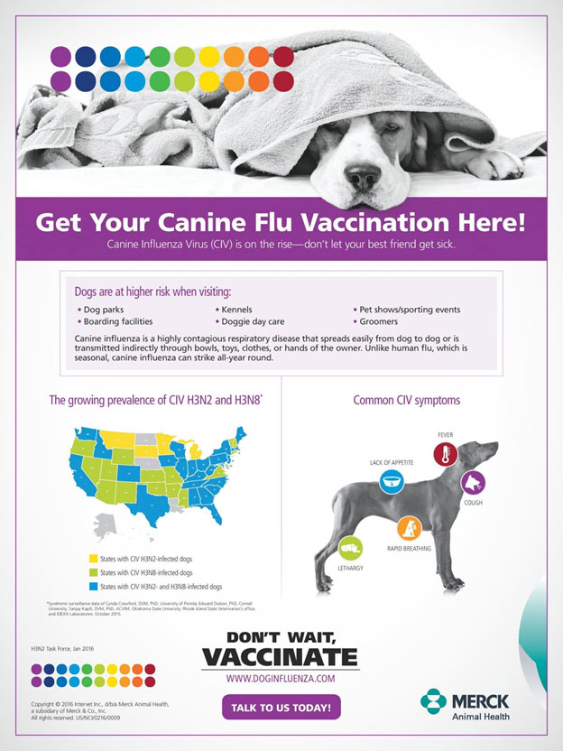 Canine Flu